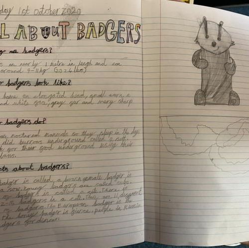 We have been learning all about badgers. We created our own badger reports.